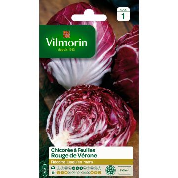 Sikuri Rossa di Verona - Vilmorin