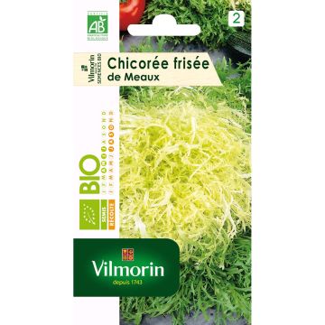 Kähäräendiivi de Meaux luomu - Vilmorin