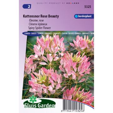 Otahämähäkkikukka Rose Beauty (siemenet)