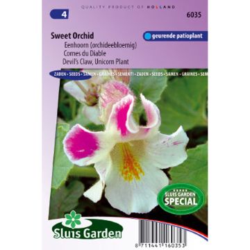 Kirjonorsunkärsä (siemenet) - Proboscidea louisianica