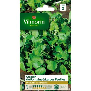 Isovesikrassi - Vilmorin - Nasturtium officinale
