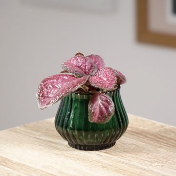 Hohtokuparilehti Malayan Gem