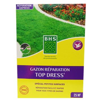 Nurmikonsiemen BHS Top Dress' paikkaus