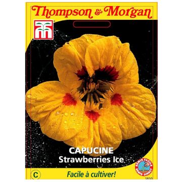 Isoköynnöskrassi Strawberries Ice (siemenet)