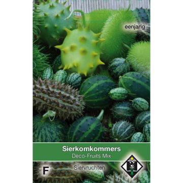 Cucumis Deco Fruits Mix (siemenet)