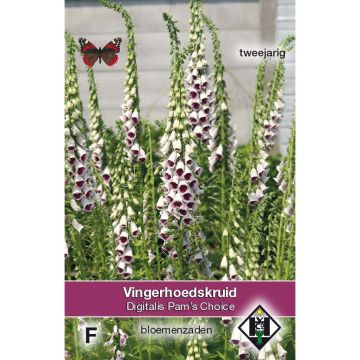 Rohtosormustinkukka Pam's Choice (siemenet)