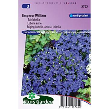 Sinilobelia Empereur William (siemenet)