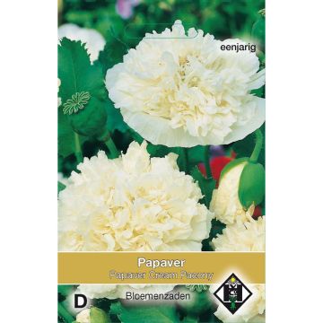 Oopiumiunikko Cream Paeony