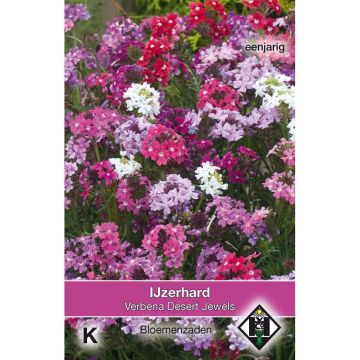 Tarhaverbena Desert Jewels Mixed (siemenet)