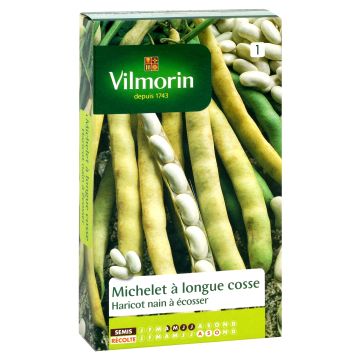 Tarhapapu Michelet pitkäpalkoinen - Vilmorin