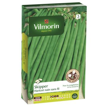 Palkoineen syötävä tarhapapu Skipper - Vilmorin
