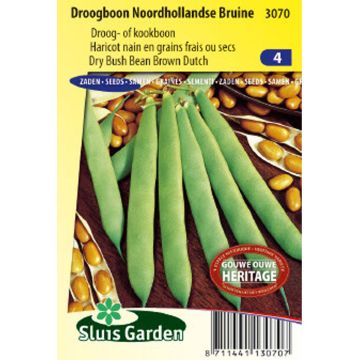 Tarhapapu Noordhollandse Bruine