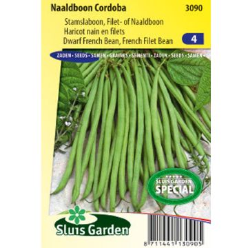 Palkoineen syötävä tarhapapu Cordoba
