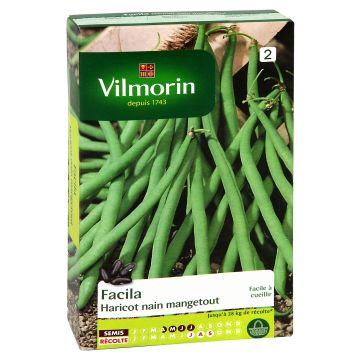 Palkoineen syötävä tarhapapu Facila - Vilmorin