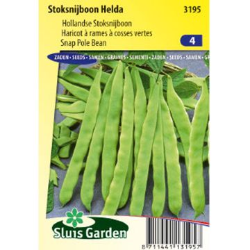 Salkopapu Helda