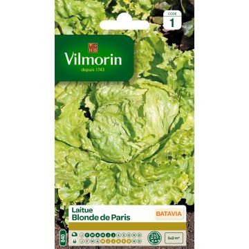 Bataviasalaatti Blonde de Paris - Vilmorin