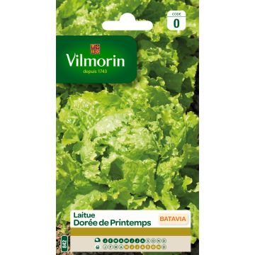 Bataviasalaatti Dorée de Printemps - Vilmorin