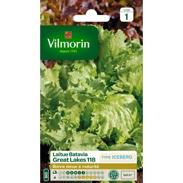 Jäävuorisalaatti Great Lakes 118 - Vilmorin