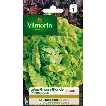 Salaatti Grosse Blonde Paresseuse - Vilmorin