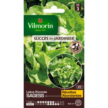Salaatti Sagess - Vilmorin