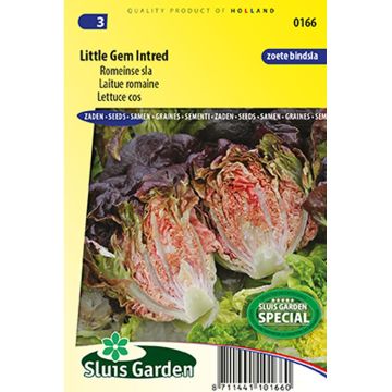 Sidesalaatti Little Gem Intred
