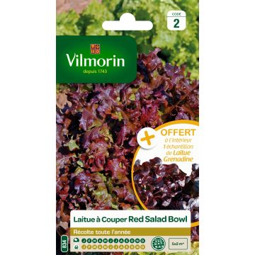 Salaatti Red Salad Bowl - Vilmorin