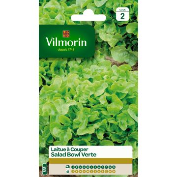 Tammenlehtisalaatti Green Salad Bowl - Vilmorin