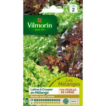 Salaattisekoitus Bowl - Vilmorin