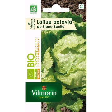Bataviasalaatti de Pierre Bénite luomu - Vilmorin
