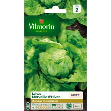 Salaatti Merveille d'Hiver - Vilmorin
