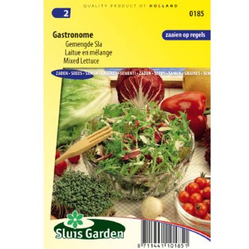 Salaatti Mix Gastronome