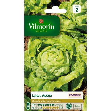 Salaatti Appia - Vilmorin