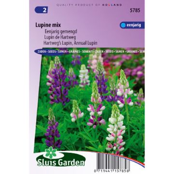 Komealupiini (siemenet) - Lupinus hartwegii