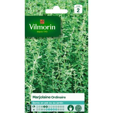 Maustemeirami Vilmorin - Origanum majorana
