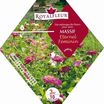 Kukkapenkin siemenseos Ikuinen naisellisuus (pussi 3 m²)