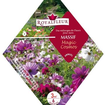 Kukkapenkin siemenseos Magic Cosmos (pussi 3 m²)