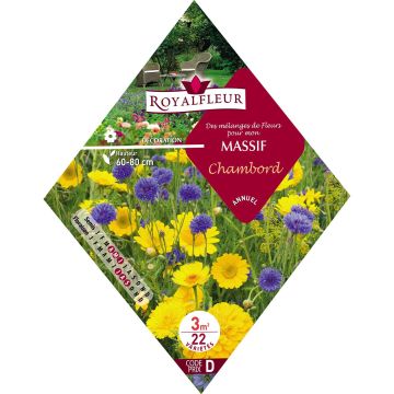 Kukkapenkin siemenseos Chambord (pussi 3 m²)