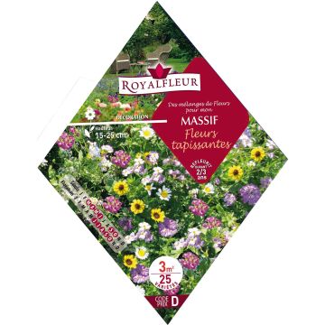 Kukkapenkin siemenseos Maanpeitekukat