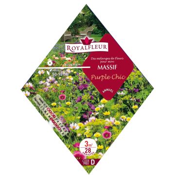 Kukkapenkin siemenseos Purple Chic (pussi 3 m²)