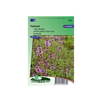 Puolanminttu Pennyroyal