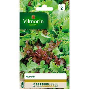 Salaattisekoitus Mix 3 - Vilmorin
