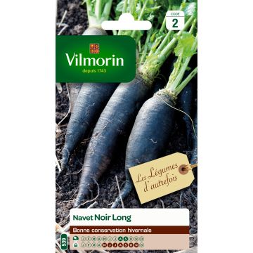 Nauris musta pitkä - Vilmorin