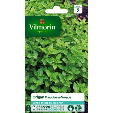 Mäkimeirami - Vilmorin - Origanum vulgare