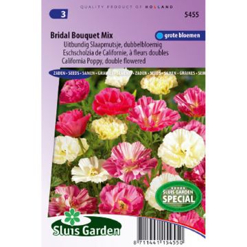 Kaliforniantuliunikko Bridal Bouquet Mix (siemenet)