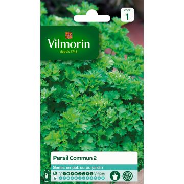 Silopersilja 2 Officinal - Vilmorin