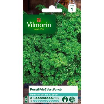 Kähäräpersilja tummanvihreä - Vilmorin