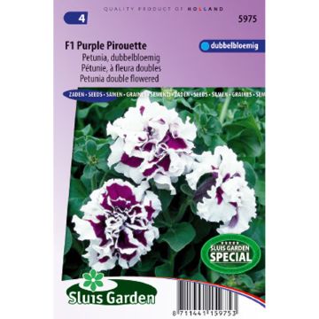 Tarhapetunia F1 Purple Pirouette (siemenet)