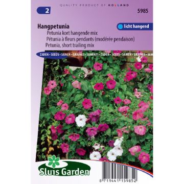 Riippapetunia Balcony Mix (siemenet)