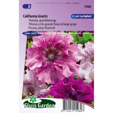 Tarhapetunia California Giants Mix (siemenet)