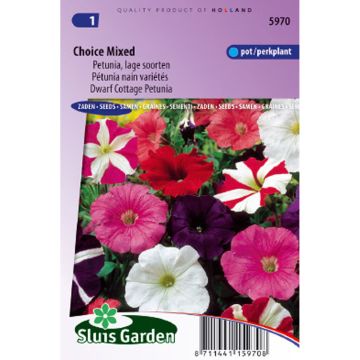Tarhapetunia Choice Mix (siemenet)